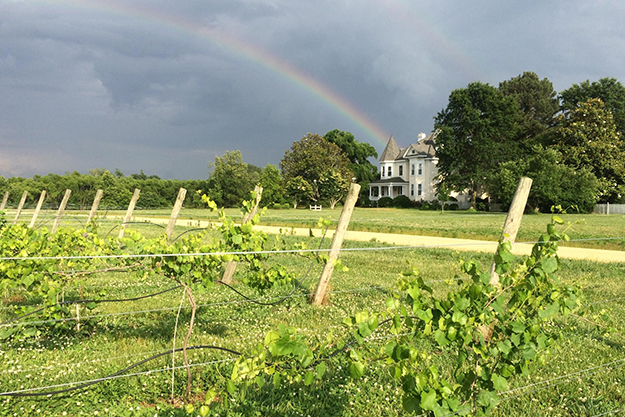 Rainbow over Hampton Roads Winery